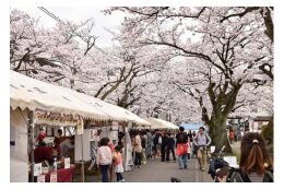 湊地区のまちづくりを応援する