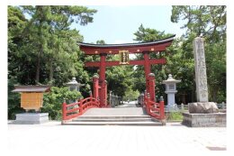 自治体にお任せ