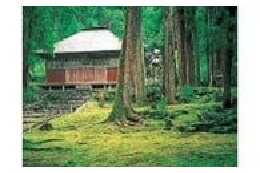 白山平泉寺など歴史遺産の保護保全