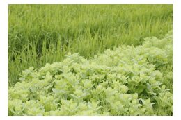 活力ある地域産業を創出するまちづくり