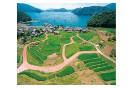 その他　高浜町を元気にするために町長が必要があると認める活動への応援　