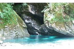 ふるさとの水を育む森林保全に関する取り組み 
