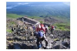 世界文化遺産富士山支援事業