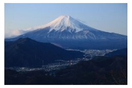 【市長におまかせ】