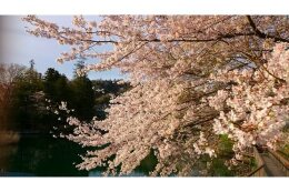 自然環境の保全に関する事業