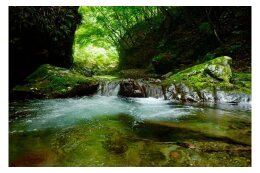 森と水と川を守る事業
