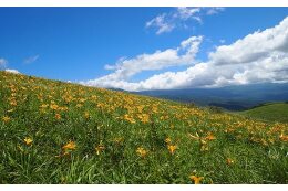 諏訪の自然・環境を守ろうプロジェクト