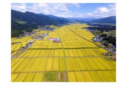 農業・農産物生産振興