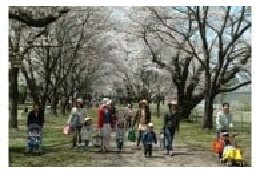 ふるさとのせせらぎが聞こえますか