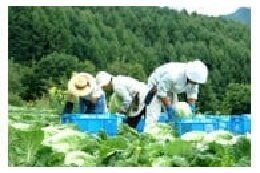 “みなみあいき”の地場産業発展に関する事業