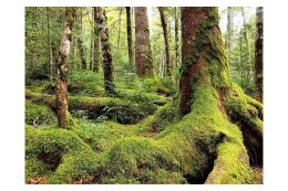 ４．特に指定せずに、ふるさと佐久穂町にまかせる
