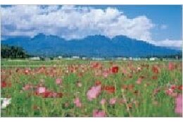 1．自然環境の保全及び景観の維持・再生に関すること