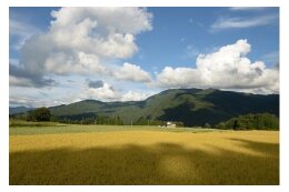 まちが誇る自然環境を後世に残すために