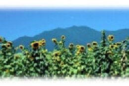 2.自然・景観の保全