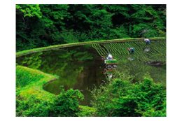 ②森林・林業に関する技術普及、遊休農地の利活用、山村文化・木材芸術の継承など、自然を生かした地域振興に関する事業