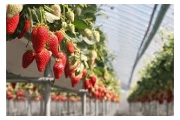＜産業振興＞産業と雇用を交流で生み出すむらづくり