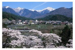 移住支援や住宅環境整備に関する事業