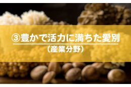 ３．豊かで活力に満ちたまちづくり事業（産業分野）