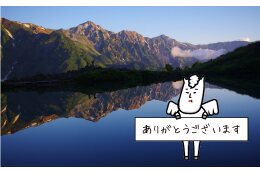 指定なし（村長におまかせ）