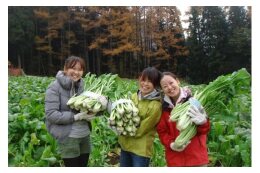 ④観光と連携したブランド農産物づくり