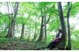 （６）森の中で、心も体も元気になれる癒しのまちづくり   