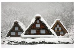 11.世界に選ばれる観光地づくりを推進する