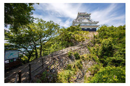 4 環境・産業・観光