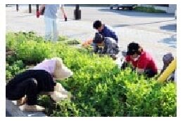 (8)町民によるまちづくり活動の推進に関する事業