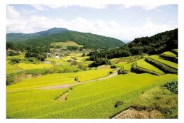 中野方町を応援　地域ががんばるまちづくり活動