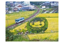 山岡町を応援　地域ががんばるまちづくり活動