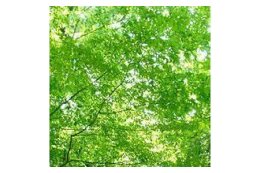 2.環境に関すること