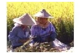 3.「健康で安心な暮らし」を応援