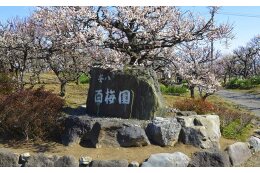 ３．産業及び観光に関する事業