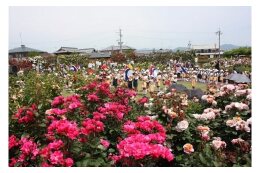 １　 自然を活かしゆとりあるくらし