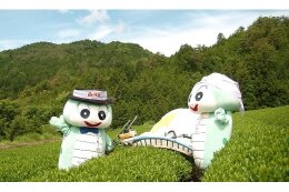 （１）村長一任