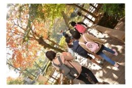 社会的養育を必要とするこどもたちへの支援