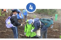 富士山麓ブナ林創造事業