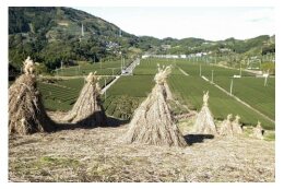 （６）産業又は観光の振興
