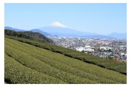7．その他