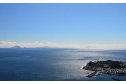 5．その他　特に指定しないので町長に使い道をおまかせする