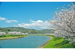 （２）自然環境・景観の保全活用に関する事業