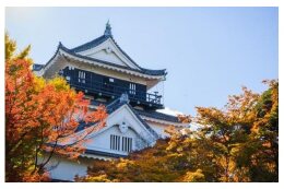 家康公と三河武士の誇りをつなぐ歴史観光