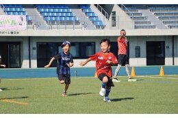 文化・スポーツに関すること