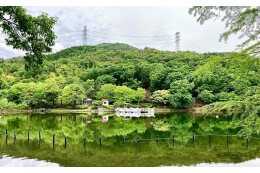 環境に関すること
