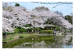 10　亀城公園等整備事業
