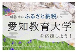 11　愛知教育大学支援事業