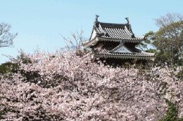 西尾城跡整備に関する事業