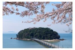 その他ふるさとづくりに資する事業 