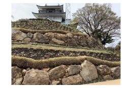 4.小牧山城復元応援コース