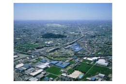 8.市長におまかせコース
